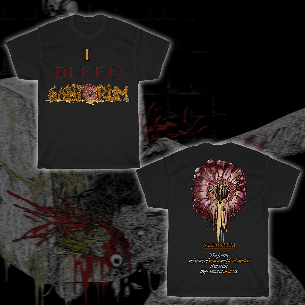 T-Shirt - I Bleed Santorum
